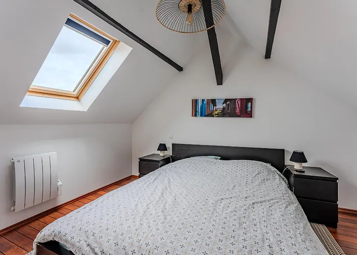 Maison Avec Jardin Clos, Proche Ocean Et Centre, Wifi, 7 Pers, Clim, Plancha, Non-fumeur - Fr-1-521-101 * Biscarrosse-Plage